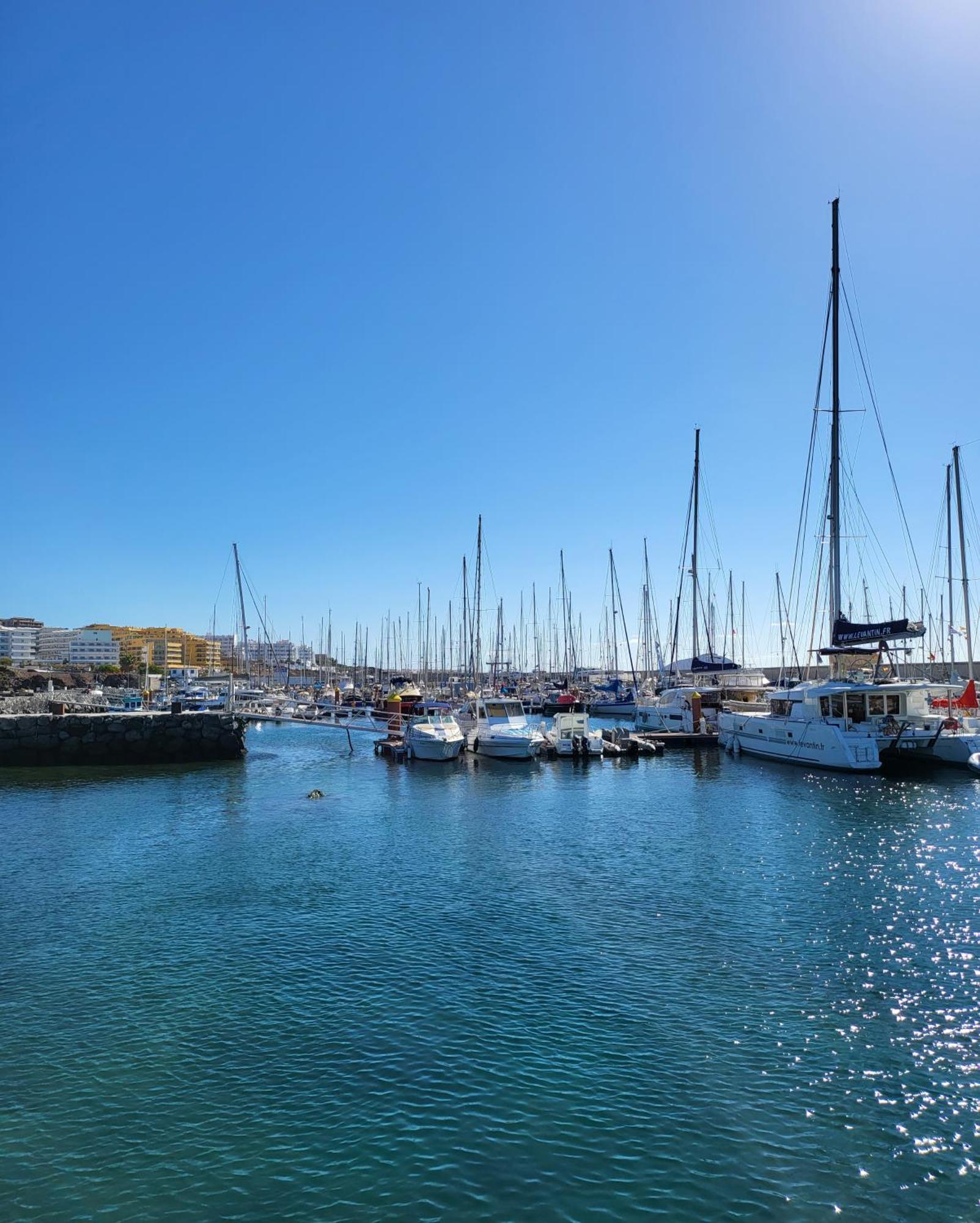 Lovely Apartment Top Views, Heated Pool, Great Location San Miguel de Abona Luaran gambar