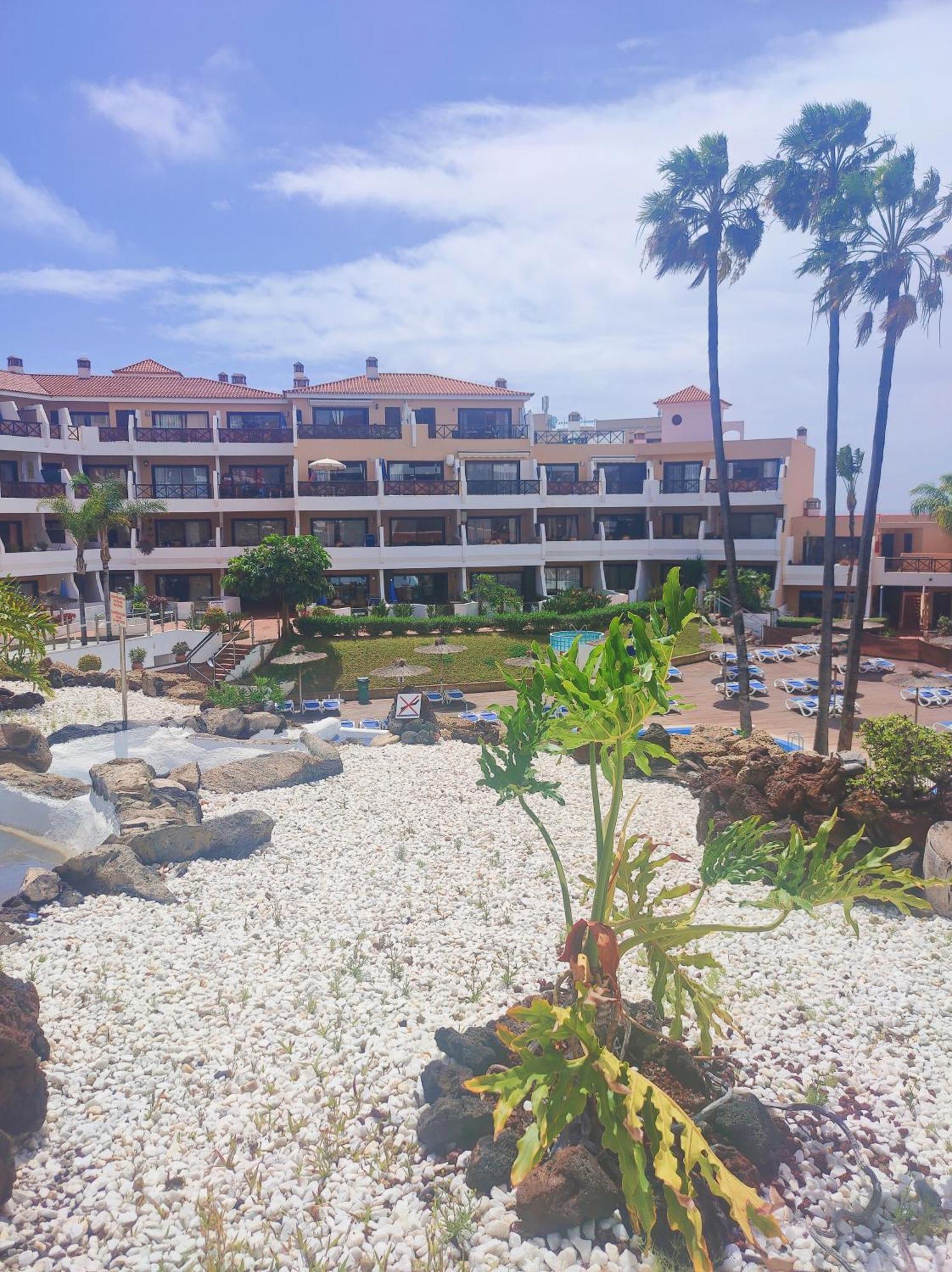 Lovely Apartment Top Views, Heated Pool, Great Location San Miguel de Abona Luaran gambar